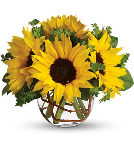 Sunny Sunflowers